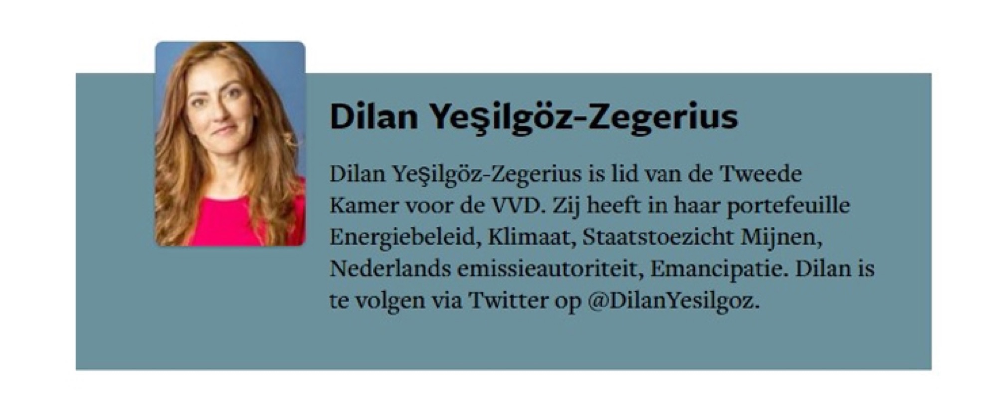 DUO-DILAN-SCREEN
