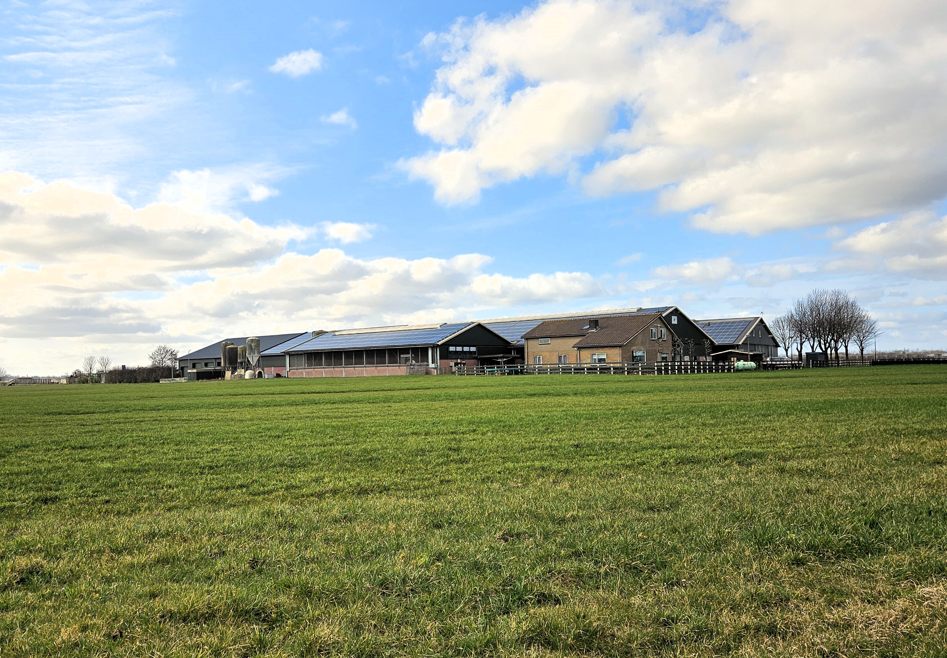Op de daken van de stallen en schuren van het melkveebedrijf van Nico Scholman in Montfoort liggen in totaal bijna 2.000 zonnepanelen.